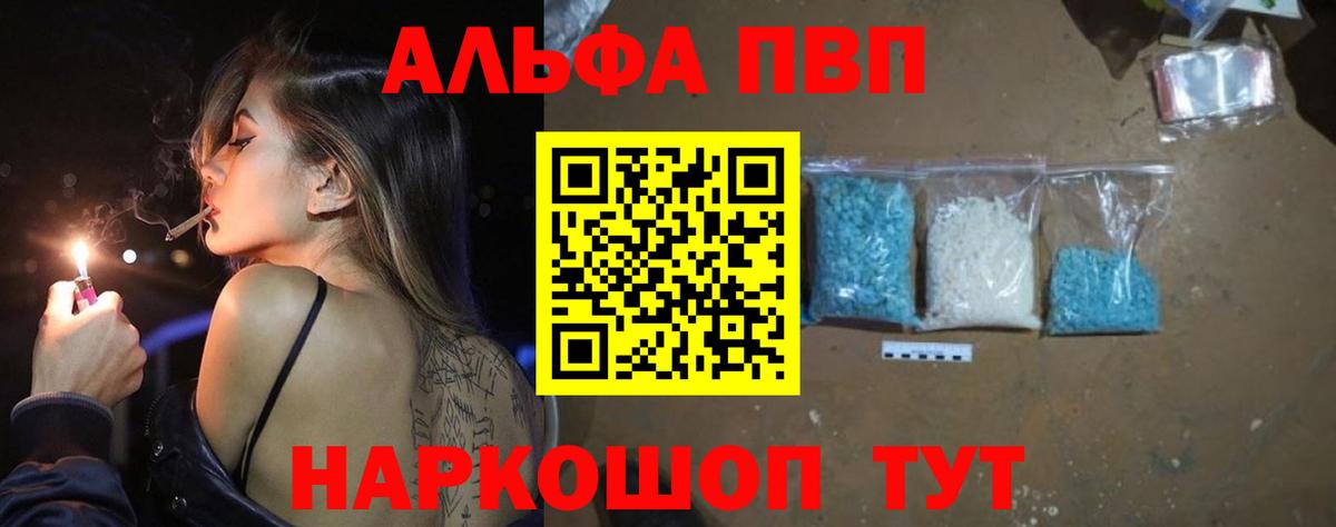 Альфа ПВП СК КРИС Тимашёвск