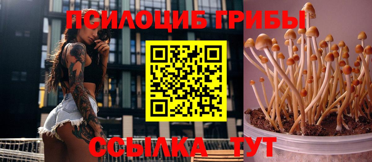 Псилоцибиновые грибы мицелий  Вход с VPN  Псилоцибиновые грибы прущие грибы  Тимашёвск 